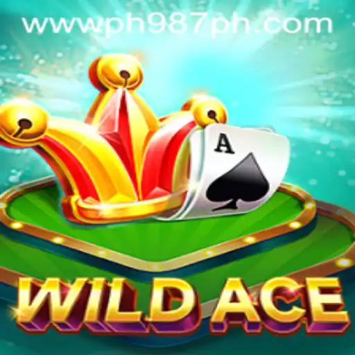 Unveiling the Thrilling World of WildAce: A New Era of Gaming